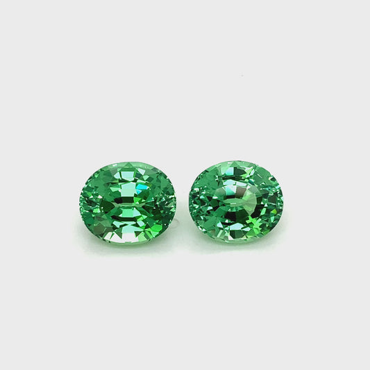 Tsavorite Pair