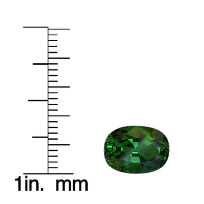 Chrome Tourmaline