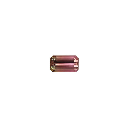 Bi-Color Tourmaline