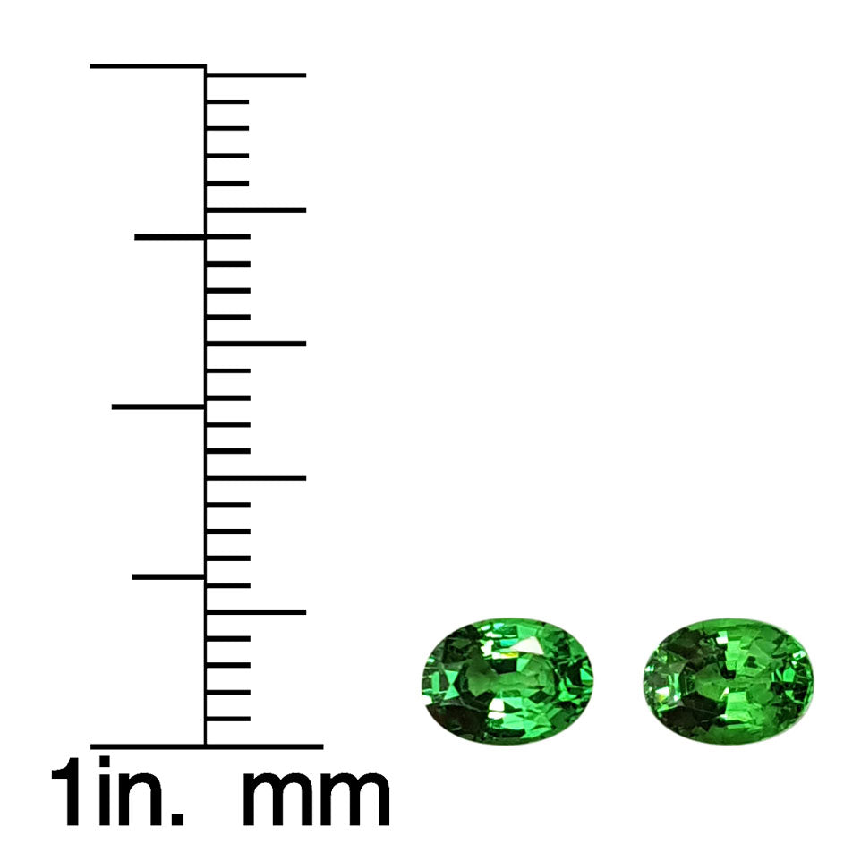 Tsavorite Pair